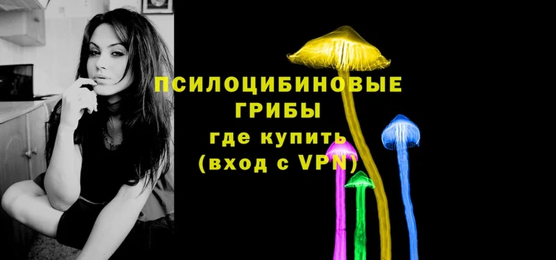 гидра онион  Зверево  Галлюциногенные грибы Psilocybine cubensis 